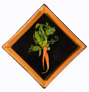 Peas and Carrots Personal Chef Service Boulder Colorado